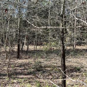 Photo #18 of 8334 Victoria Lake, Waxhaw, NC