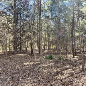 Photo #25 of 8334 Victoria Lake, Waxhaw, NC