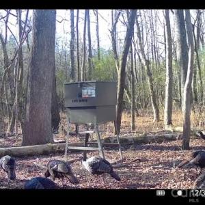 Photo #4 of Coldstream, Heath Springs, SC