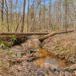 Photo #11 of Coldstream, Heath Springs, SC