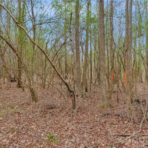 Photo #23 of Coldstream, Heath Springs, SC