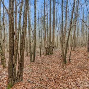 Photo #26 of Coldstream, Heath Springs, SC