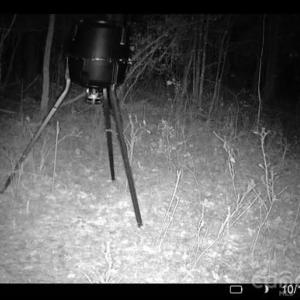 Photo #3 of Coldstream, Heath Springs, SC