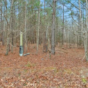 Photo #28 of Coldstream, Heath Springs, SC