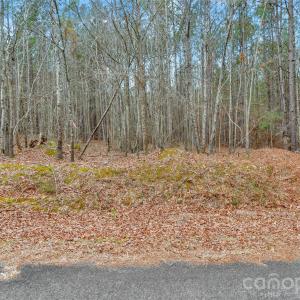 Photo #29 of Coldstream, Heath Springs, SC