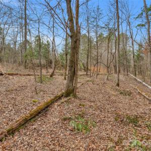 Photo #17 of Coldstream, Heath Springs, SC