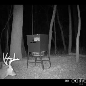 Photo #9 of Coldstream, Heath Springs, SC