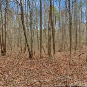 Photo #27 of Coldstream, Heath Springs, SC