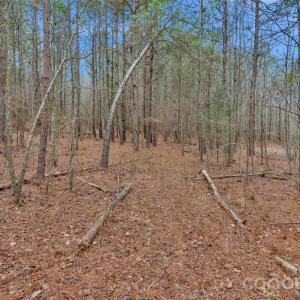 Photo #30 of Coldstream, Heath Springs, SC