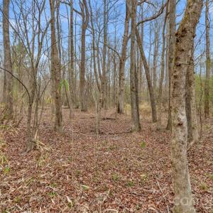 Photo #16 of Coldstream, Heath Springs, SC