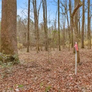 Photo #20 of Coldstream, Heath Springs, SC