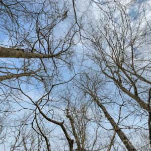 Photo #31 of Coldstream, Heath Springs, SC