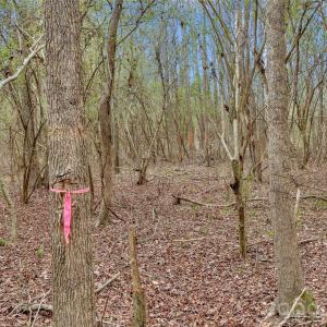 Photo #25 of Coldstream, Heath Springs, SC