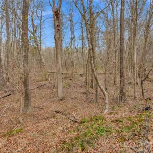 Photo #19 of Coldstream, Heath Springs, SC