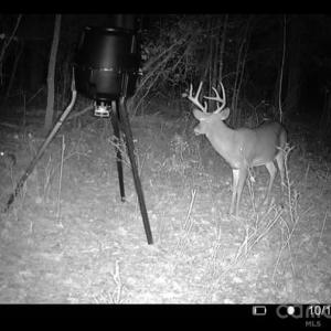 Photo #8 of Coldstream, Heath Springs, SC