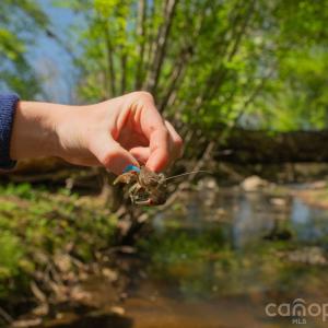 Photo #31 of 32286 Laton, Albemarle, NC