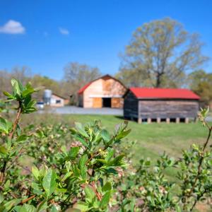 Photo #34 of 32286 Laton, Albemarle, NC