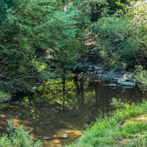 Photo #35 of 32286 Laton, Albemarle, NC
