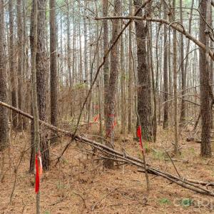 Photo #21 of Horace Price, Pageland, SC