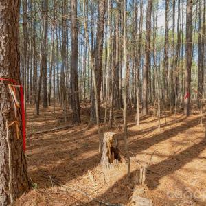 Photo #24 of Horace Price, Pageland, SC