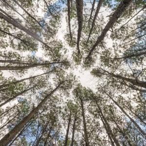 Photo #4 of Horace Price, Pageland, SC