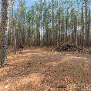 Photo #28 of Horace Price, Pageland, SC