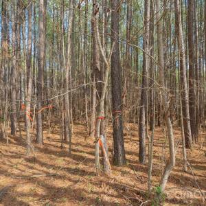 Photo #18 of Horace Price, Pageland, SC