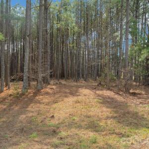 Photo #16 of Horace Price, Pageland, SC