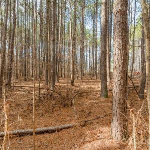 Photo #25 of Horace Price, Pageland, SC