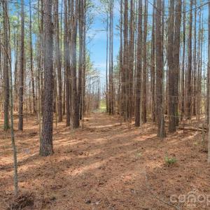 Photo #29 of Horace Price, Pageland, SC