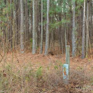 Photo #30 of Horace Price, Pageland, SC