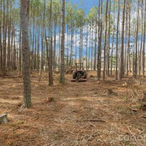 Photo #26 of Horace Price, Pageland, SC