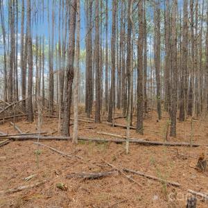 Photo #20 of Horace Price, Pageland, SC