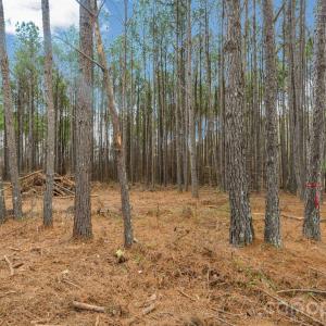 Photo #17 of Horace Price, Pageland, SC