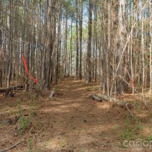 Photo #22 of Horace Price, Pageland, SC