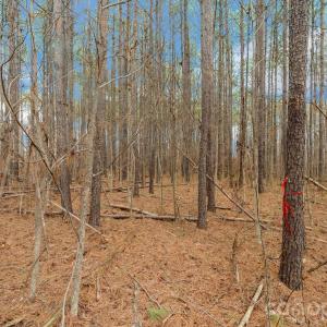 Photo #19 of Horace Price, Pageland, SC