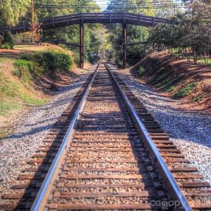 Photo #13 of 7000 Waxhaw Crossing, Waxhaw, NC