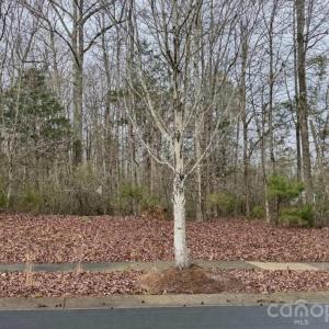 Photo #2 of 7000 Waxhaw Crossing, Waxhaw, NC