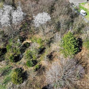 Photo #16 of Edwards Farm, Monroe, NC