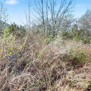 Photo #5 of Edwards Farm, Monroe, NC