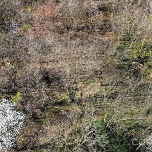 Photo #10 of Edwards Farm, Monroe, NC