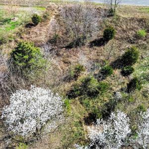 Photo #11 of Edwards Farm, Monroe, NC