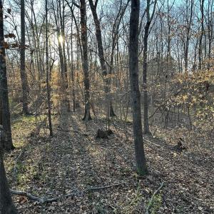 Photo #1 of 5885 Crayton, Mount Pleasant, NC