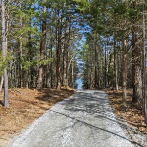 Photo #19 of Sussex, York, SC