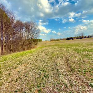 Photo #3 of 4794 Cauble, Mount Pleasant, NC