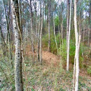 Photo #10 of 4794 Cauble, Mount Pleasant, NC