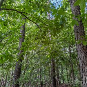 Photo #15 of 4794 Cauble, Mount Pleasant, NC