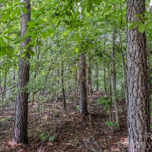 Photo #13 of 4794 Cauble, Mount Pleasant, NC