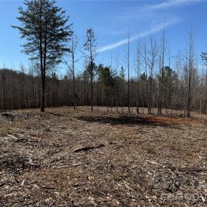 Photo #5 of 5700 Bentley Ridge, Davidson, NC