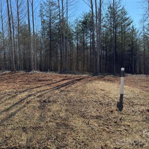 Photo #3 of 5700 Bentley Ridge, Davidson, NC